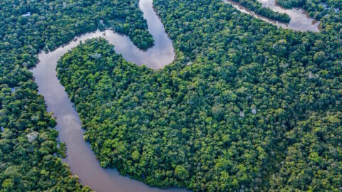 langste rivier ter wereld