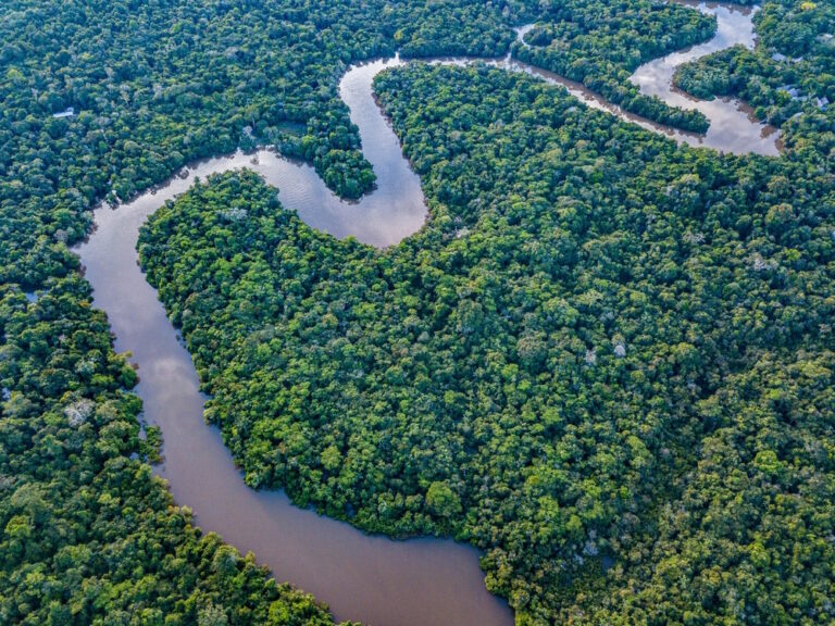 langste rivier ter wereld