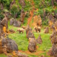 Cabarceno Natural Park