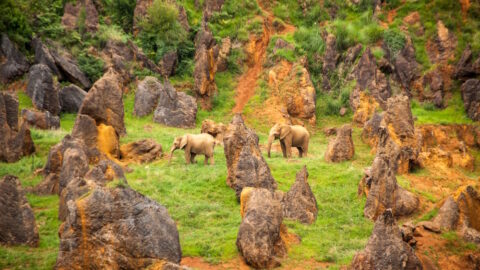Cabarceno Natural Park