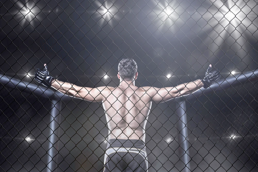Top 10 Beste MMA-Vechters Aller Tijden